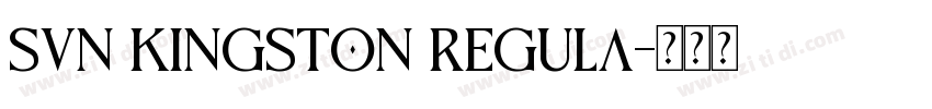 SVN Kingston Regula字体转换
